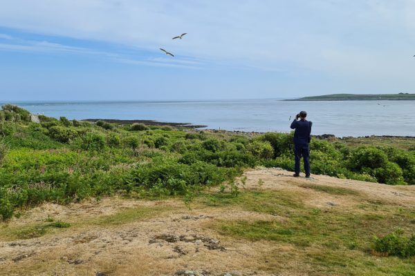 Birder_2_by_Katherine_Booth-Jones_BTO